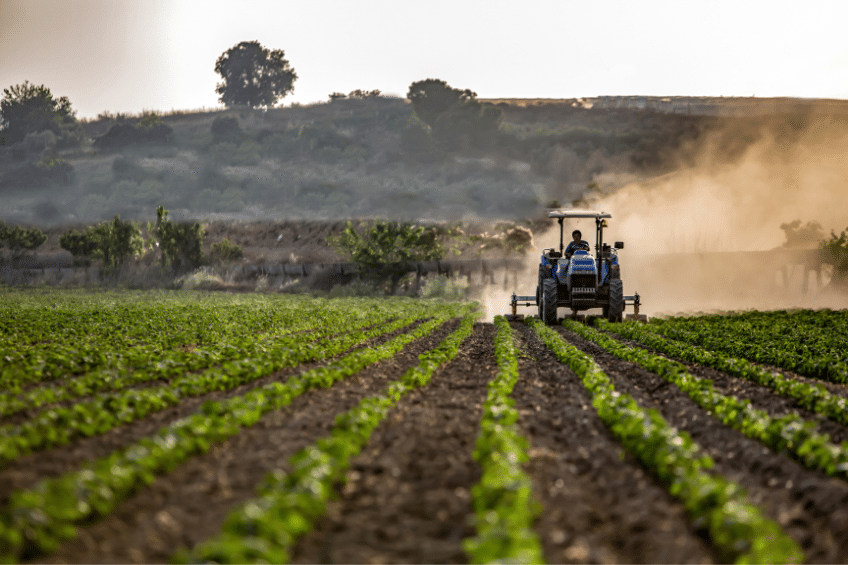 impresa agricola